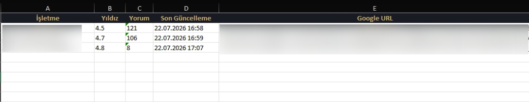 Google Review Tracking System Excel report output